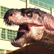 Rio Rex img
